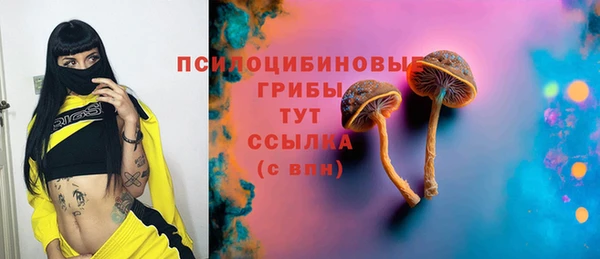 амф Абаза