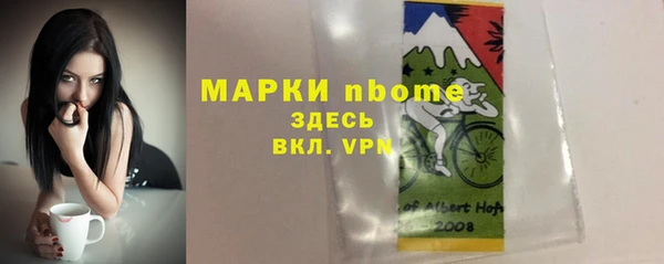 apvp Алзамай