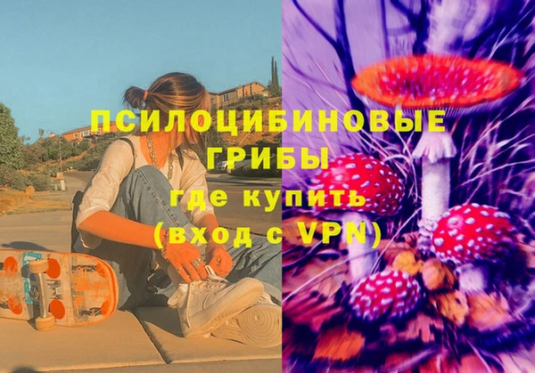 бошки Алексеевка